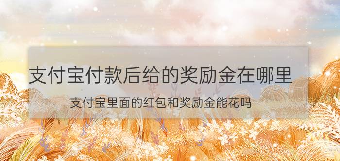 支付宝付款后给的奖励金在哪里 支付宝里面的红包和奖励金能花吗？